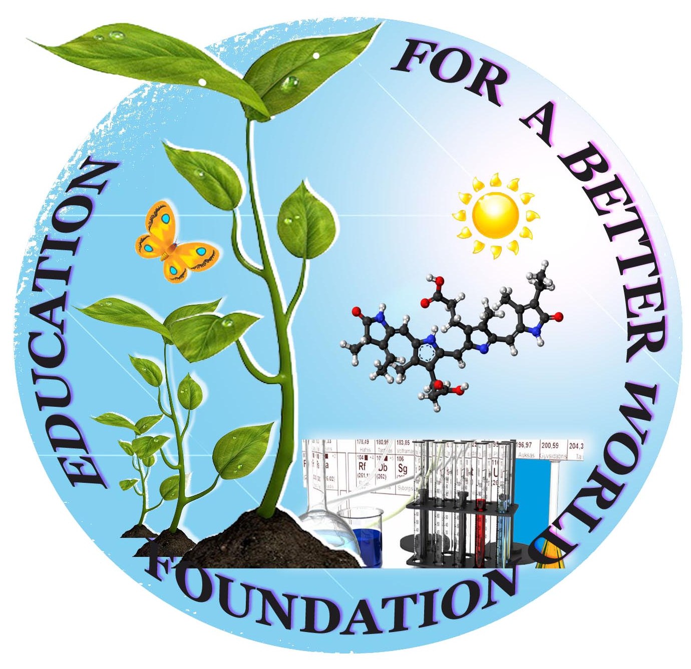 Fundación Educación Para Un Mundo Mejor